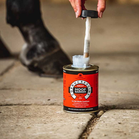 Carr & Day & Martin-Cornucrescine Daily Hoof Barrier 500ml