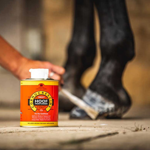 Carr & Day & Martin-Cornucrescine Daily Hoof Moisturiser