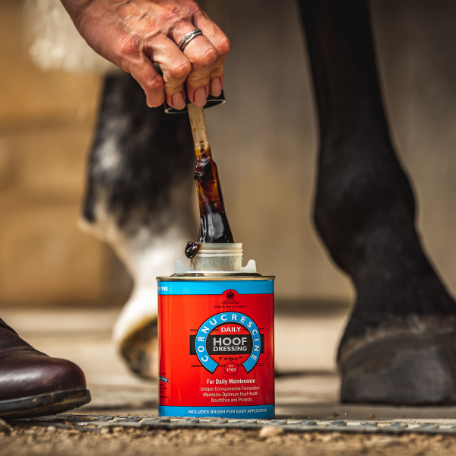 Carr & Day & Martin-Cornucrescine Daily Hoof Dressing 500ml
