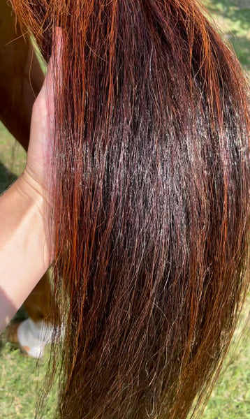 Hairy Pony Silky Serum