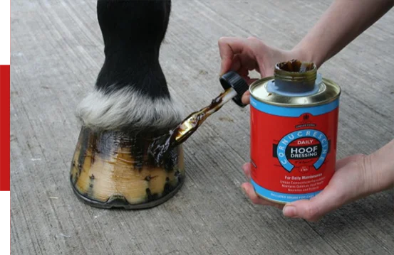 Carr & Day & Martin-Cornucrescine Daily Hoof Dressing 500ml