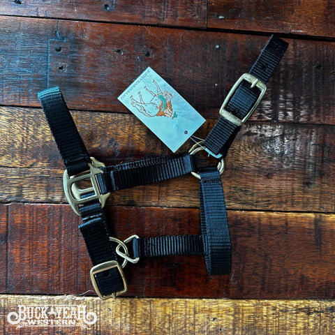 Foal Nylon Halter