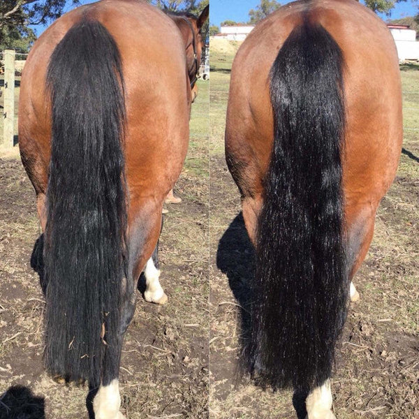 Hairy Pony 2 in 1 Detangle & Shine Spray - Original