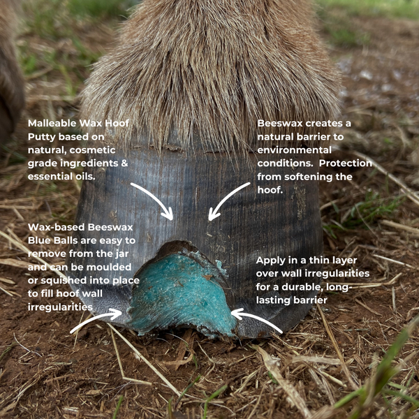The Hoof Co. Beeswax BLUE Balls® Hoof Wall Crevice Wax