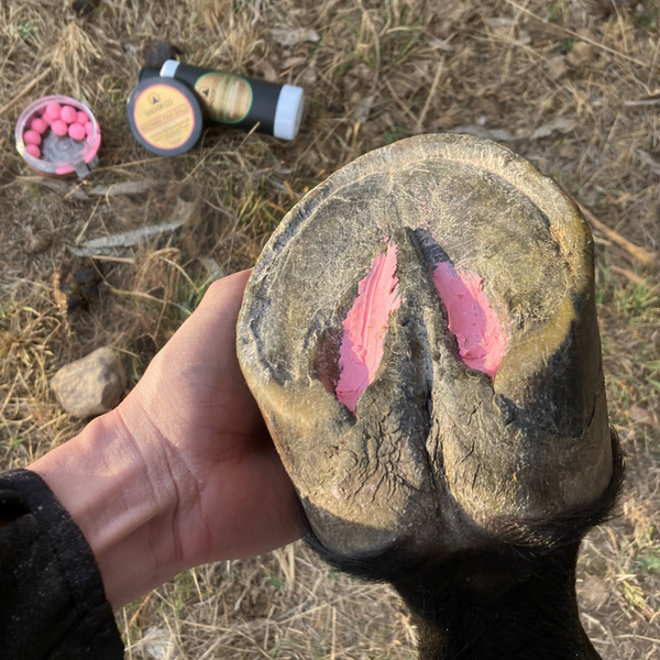 The Hoof Co - Beeswax PINK Balls