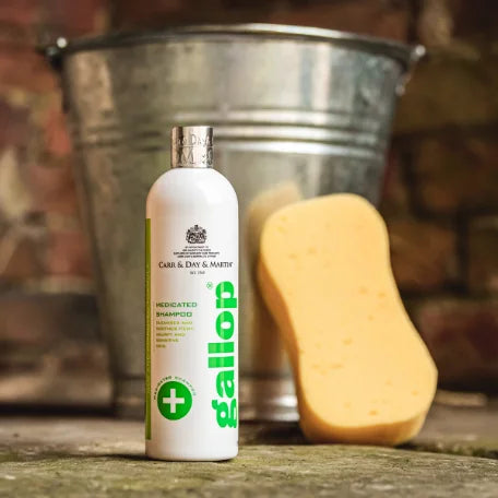 Carr & Day & Martin - Clean & Clear Shampoo