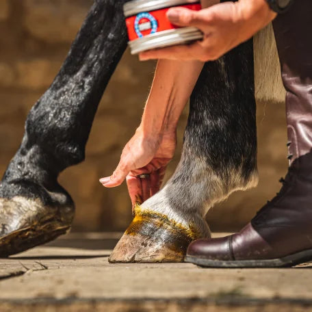 Carr & Day & Martin- Cornucrescine Original Hoof Ointment