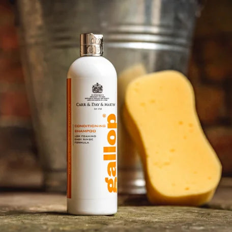 Carr & Day & Martin - Gallop Everyday Conditioning Shampoo
