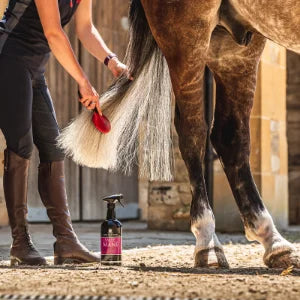 Carr & Day & Martin - Canter Mane & Tail