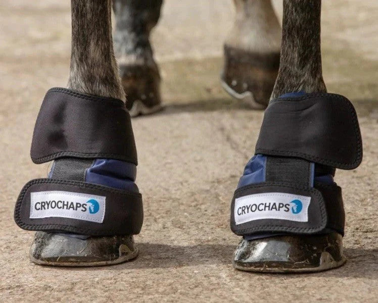 Cryochaps Absolute Ice Wrap Pair Pastern/Hocks/Knees