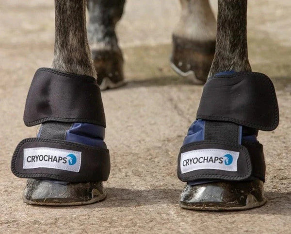 Cryochaps Absolute Ice Wrap Pair Pastern/Hocks/Knees