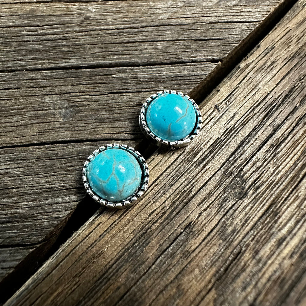 Small Fort Wayne Earrings