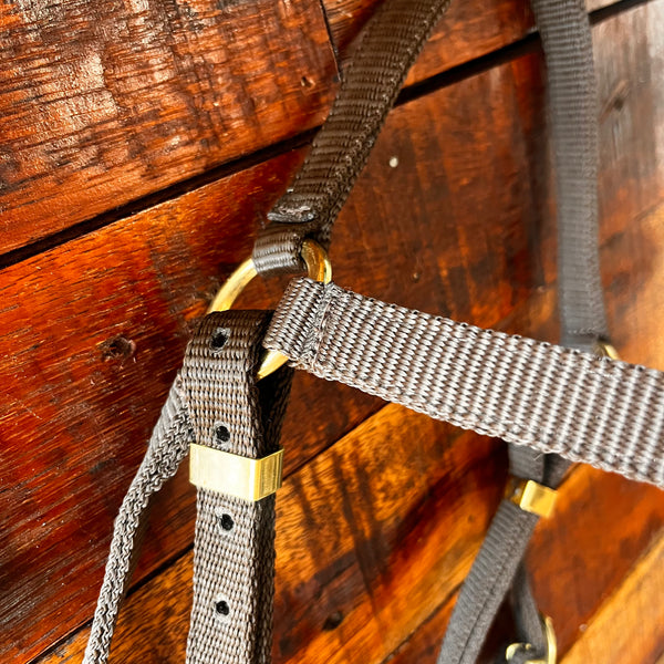 Nylon Webbing Stock Bridle
