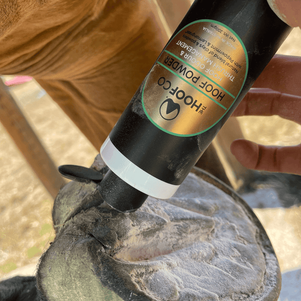 Hoof Co. Hoof Powder
