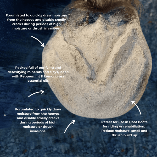 Hoof Co. Hoof Powder