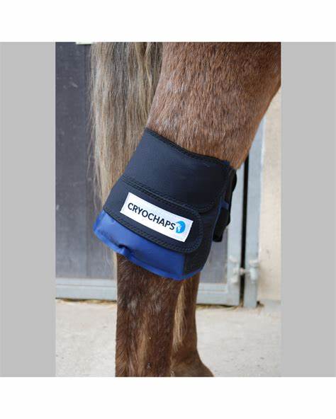Cryochaps Absolute Ice Wrap Pair Pastern/Hocks/Knees