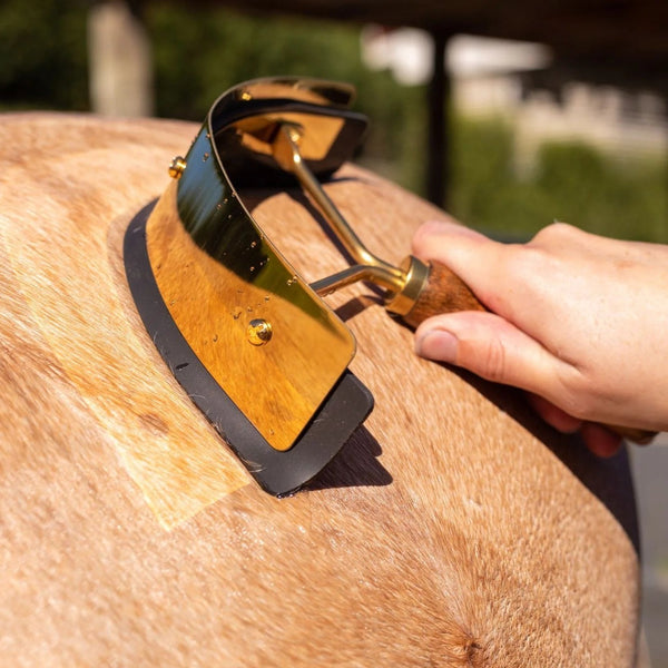 Hairy Pony Gold Sweat Scraper