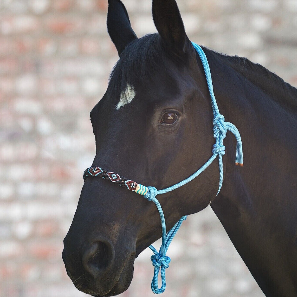 Waldhausen Rope Halter Pearls Azure