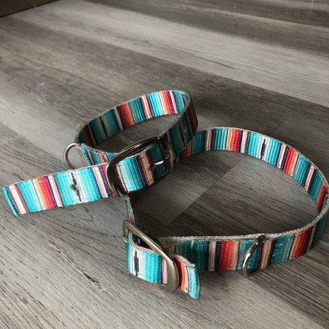 South West Serape Nylon Dog Collar