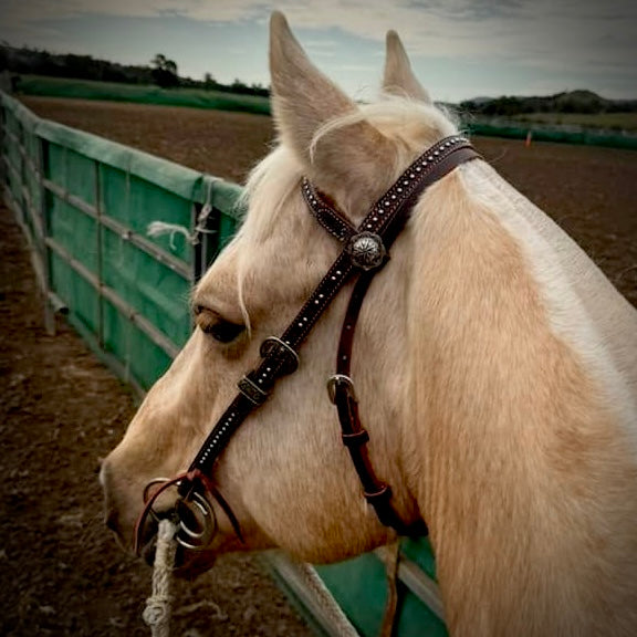 Harness leather USA Bridle with silver studs on browband