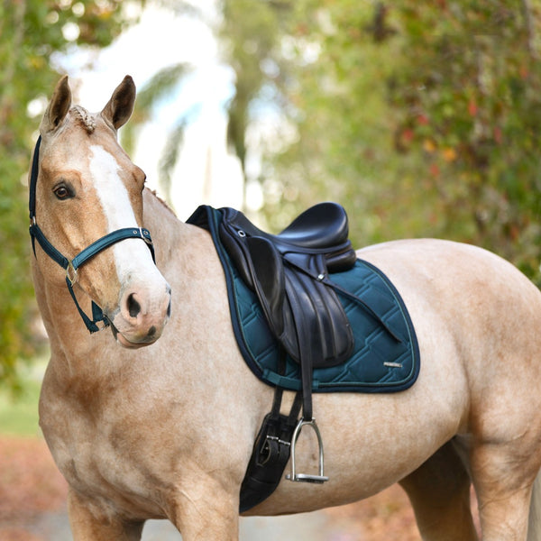 Lami-Cell Aurora Dressage Saddlecloth