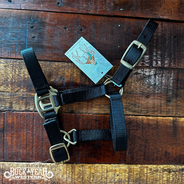 Foal Nylon Halter