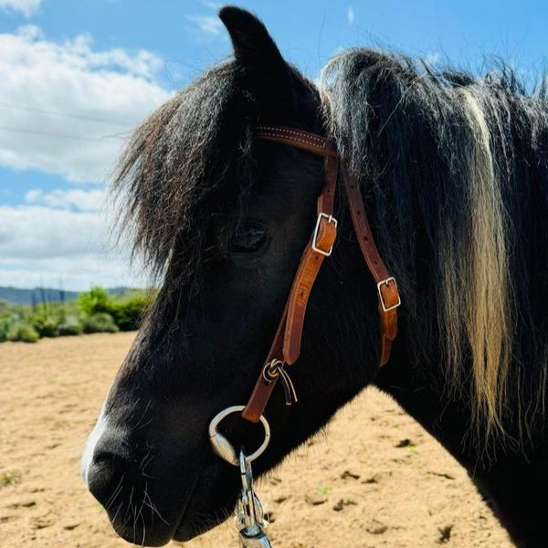 American Made Leather Bridle PONY