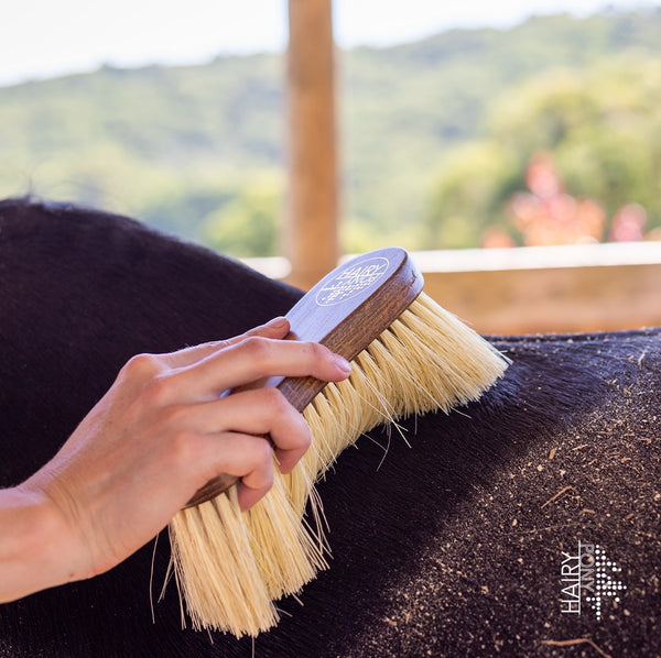 Hairy Pony Flick Brush