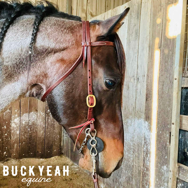 Futurity Browband Bridle