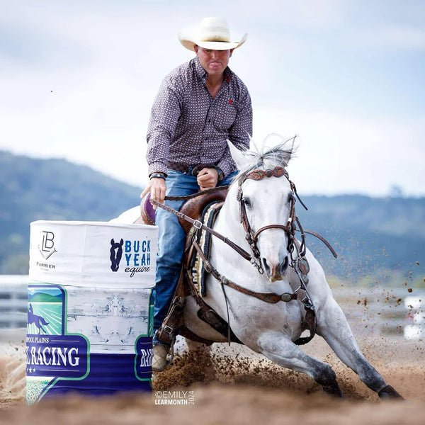 Cowcreek JR Cowhorse Bit