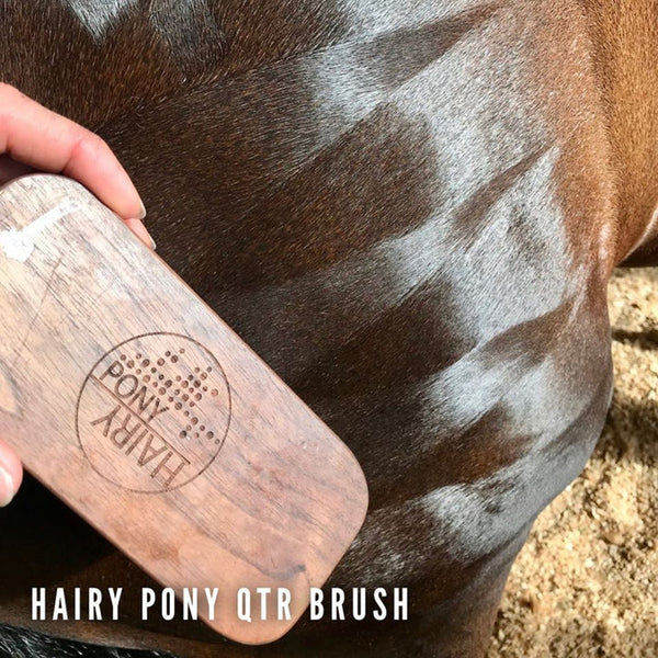 Hairy Pony Quarter Mark Horse Brush