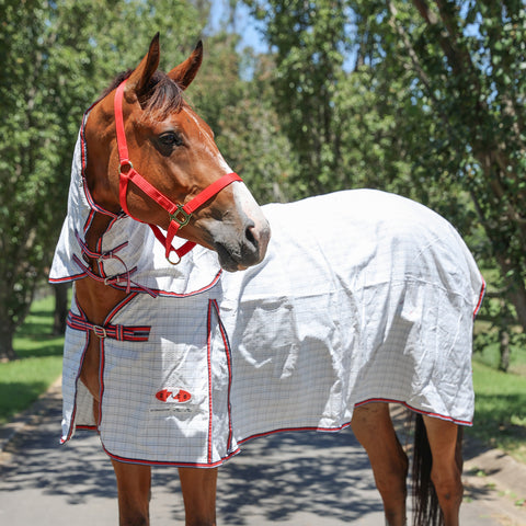 Zilco Econostop Combo Rug