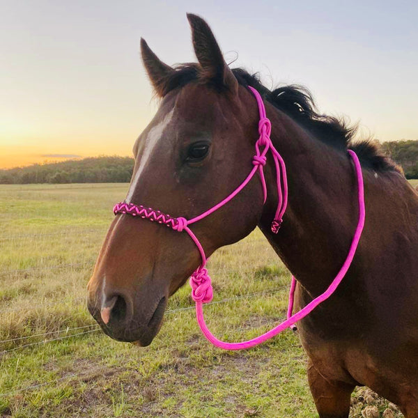 Cowboy Knot Halter