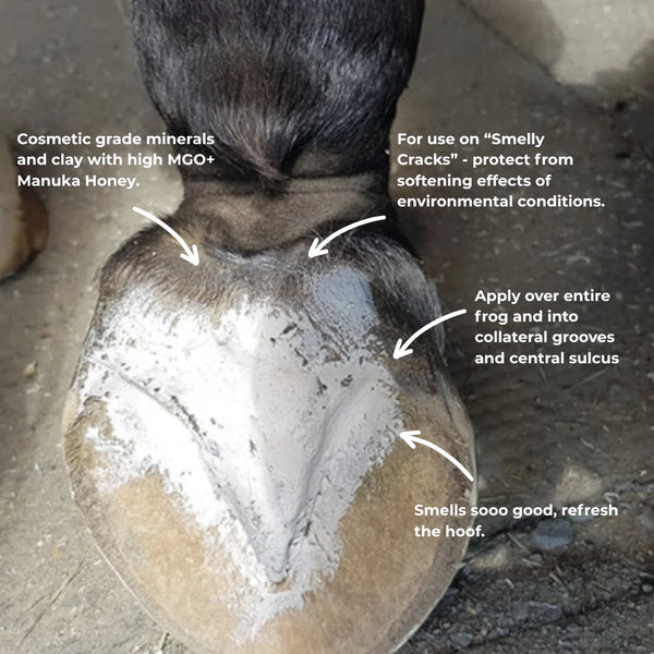 The Hoof Co. Hoof Pack for a "Smelly Crack"