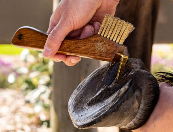 Copper Bristle Wooden Hoof Pick