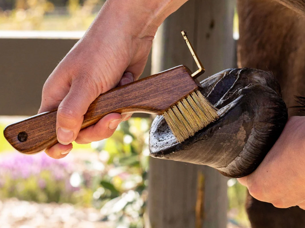 Copper Bristle Wooden Hoof Pick
