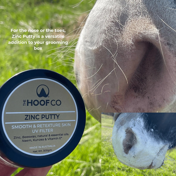 The Hoof Co. Zinc Putty for Horses 300g