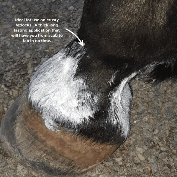 The Hoof Co. Zinc Putty for Horses 300g