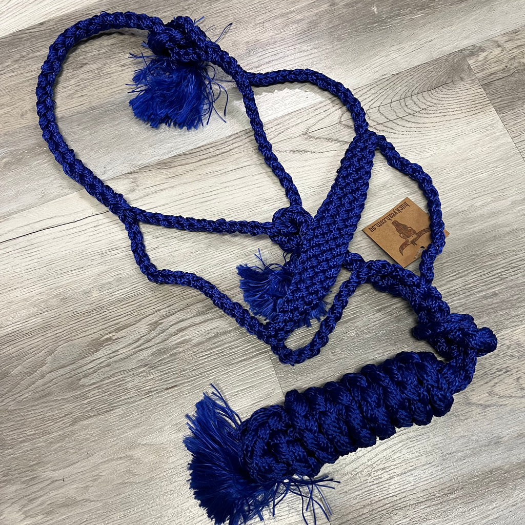 Woven nylon mule tape halter with removable lead